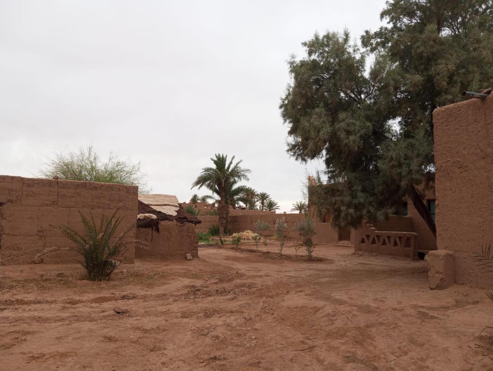 La Maison-Berbere Mhamid M’hamid El Ghizlane Exterior foto